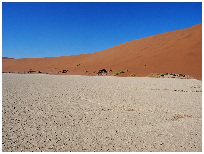 Deadvlei
