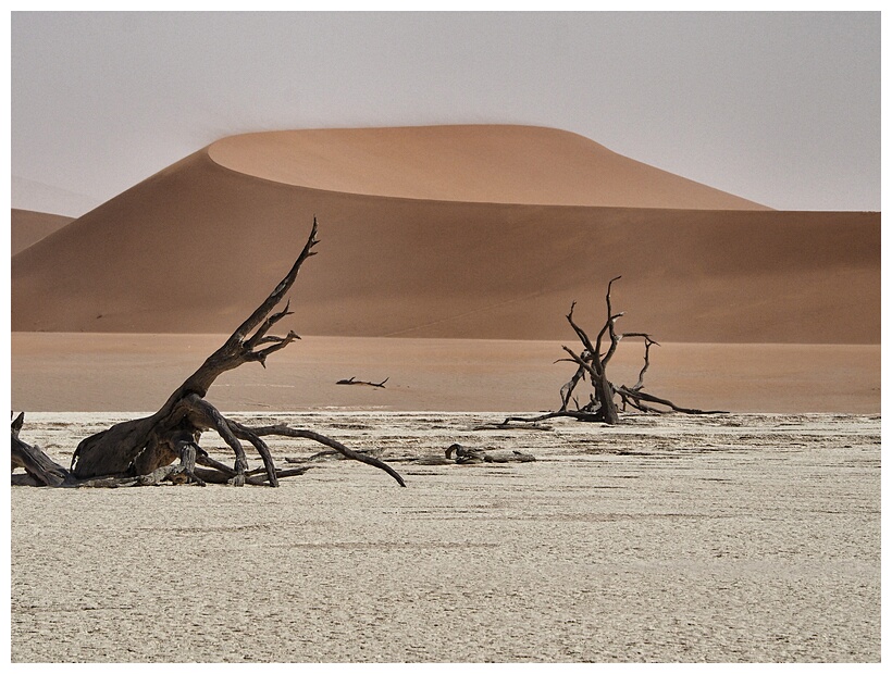 Deadvlei