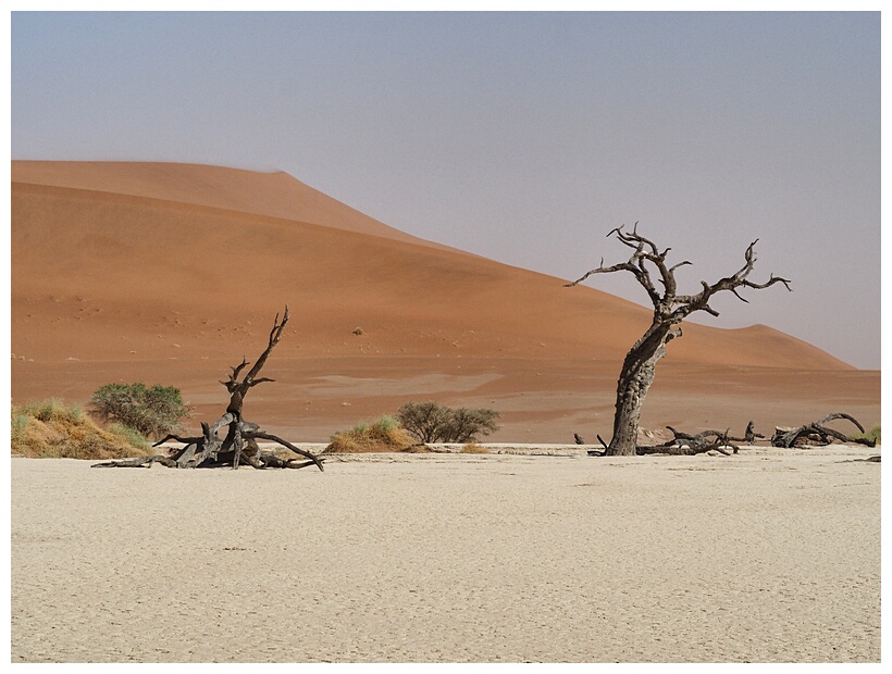 Deadvlei