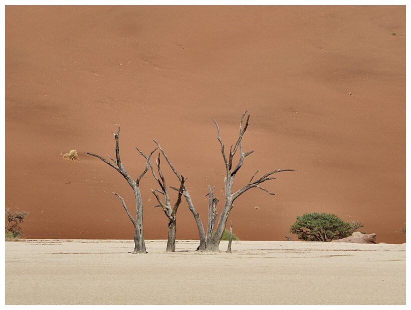 Deadvlei