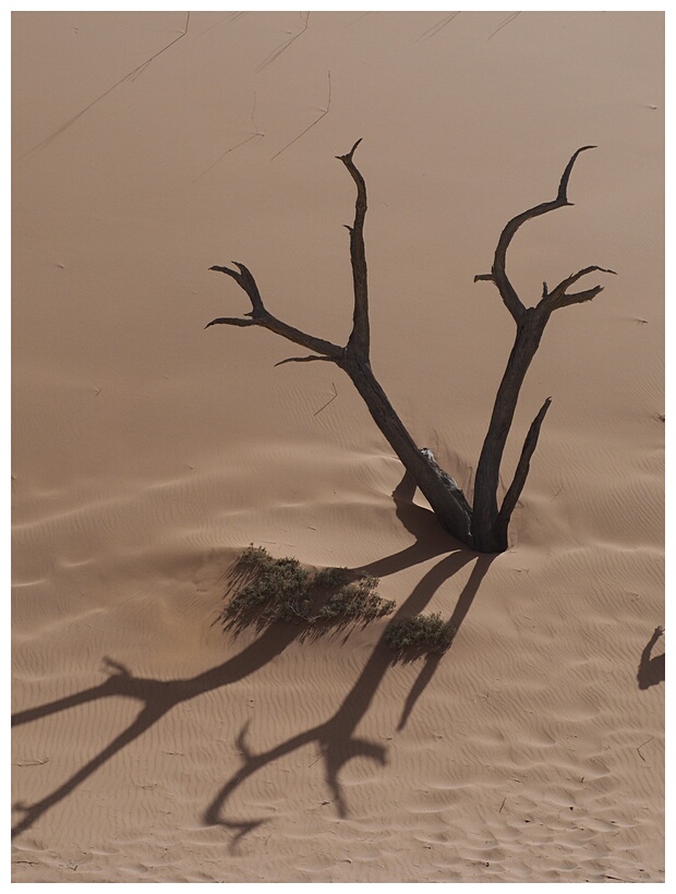 Deadvlei