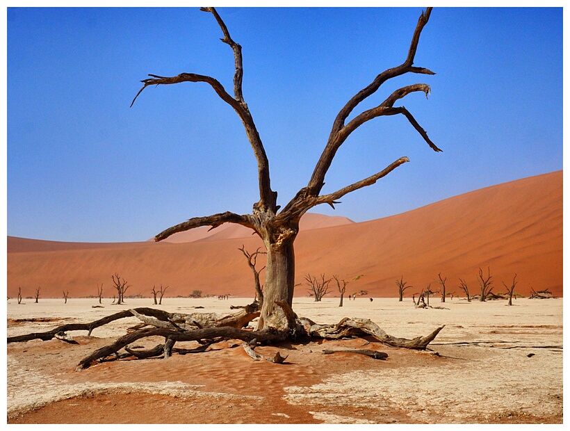 Deadvlei