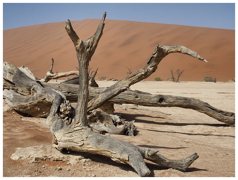 Deadvlei