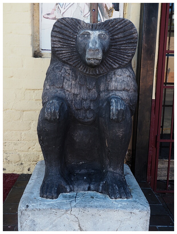 Baboon