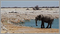 Etosha National Park