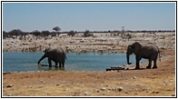 Etosha National Park