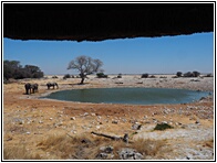 Etosha National Park