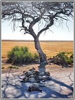 Charitsaub Waterhole