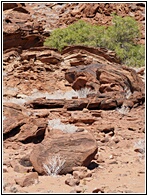 Twyfelfontein 