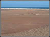 Skeleton Coast