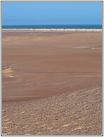 Skeleton Coast