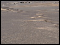 Skeleton Coast