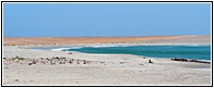 Cape Cross Beach 