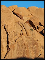 Spitzkoppe