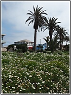 Swakopmund