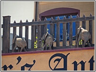 Swakopmund