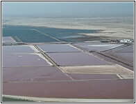 Salt Works