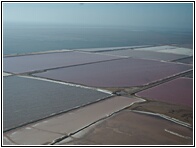 Salt Works