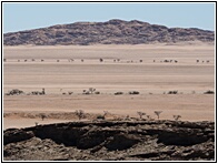 Namib Desert