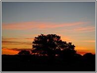 African Sunset