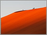 Dune 45