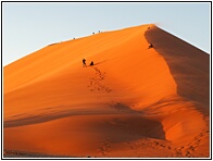Dune 45