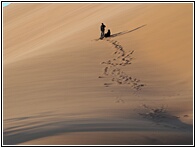 Sand Dunes