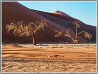 Sossusvlei