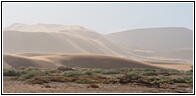 Namib Desert