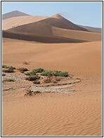 Namib Desert