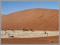 Deadvlei