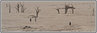 Deadvlei