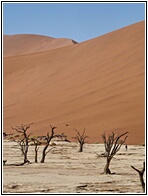 Deadvlei