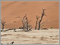 Deadvlei