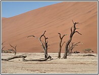 Deadvlei