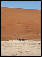Deadvlei