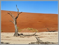 Deadvlei