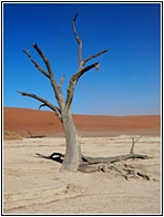 Deadvlei