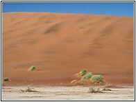 Deadvlei