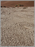 Deadvlei