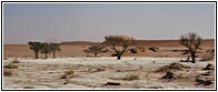 Deadvlei
