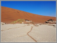 Deadvlei