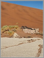 Deadvlei
