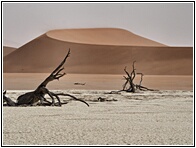 Deadvlei