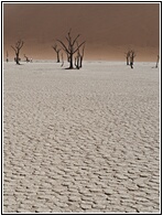 Deadvlei