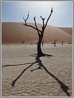 Deadvlei