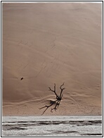 Deadvlei