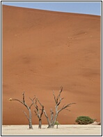 Deadvlei