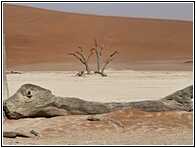 Deadvlei