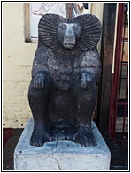 Baboon